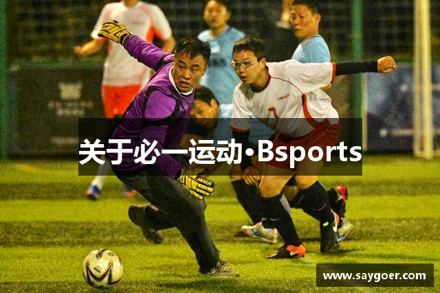 关于必一运动·Bsports